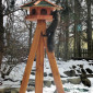 Eichhörnchen 